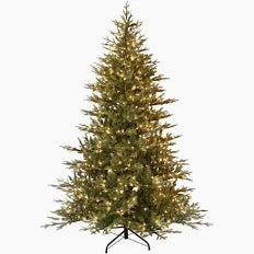 Balsam Christmas Tree Pallets | IN